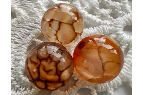 ドラゴンゲート